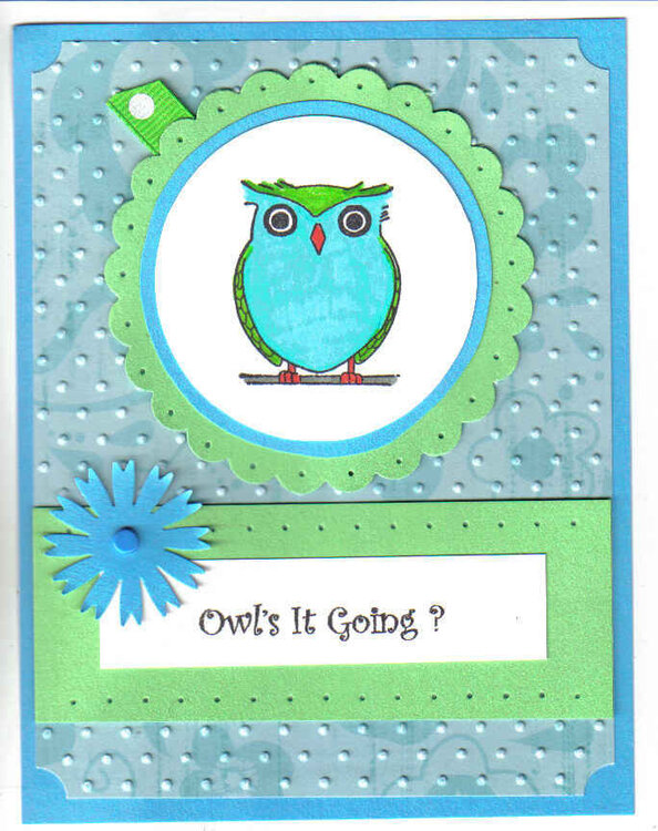 Owl&#039;s It Going?