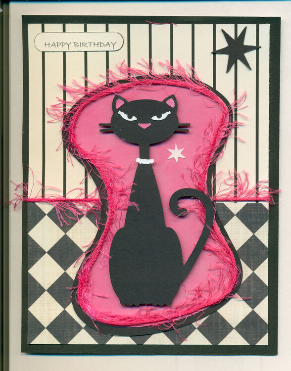 Nifty Fifties Cat