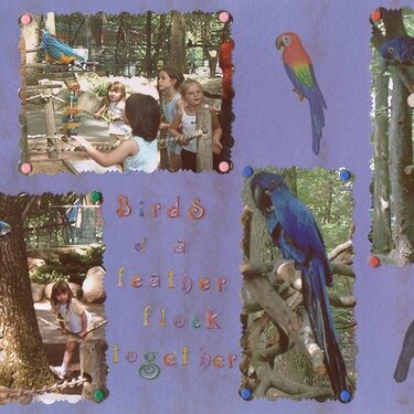 Zoo Album for my Niece (pg 11)
