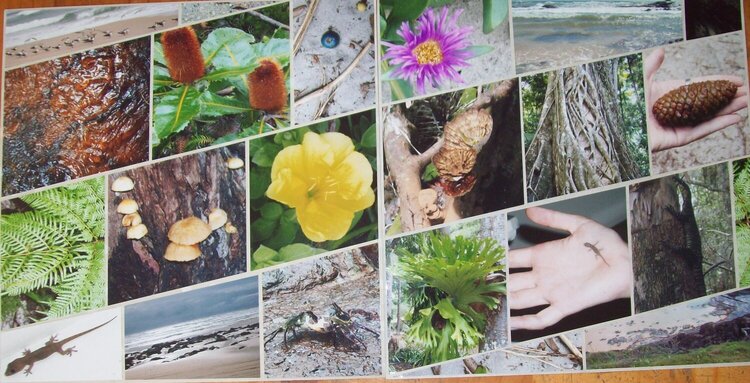 Jamie&#039;s Fraser Island Images, double page LO