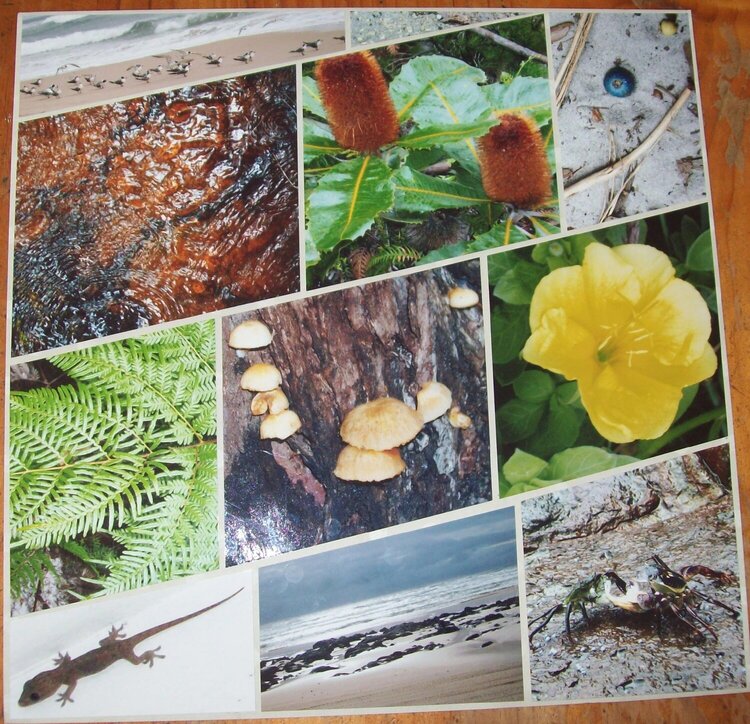 Left hand page, Jamie&#039;s Fraser Island Images