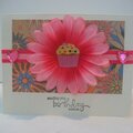 Pink Birthday Cupcake Flower Card