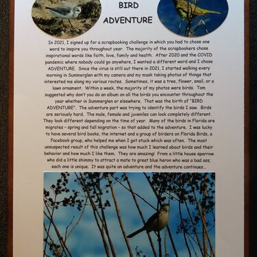 Information Page about the Album Bird Adventure