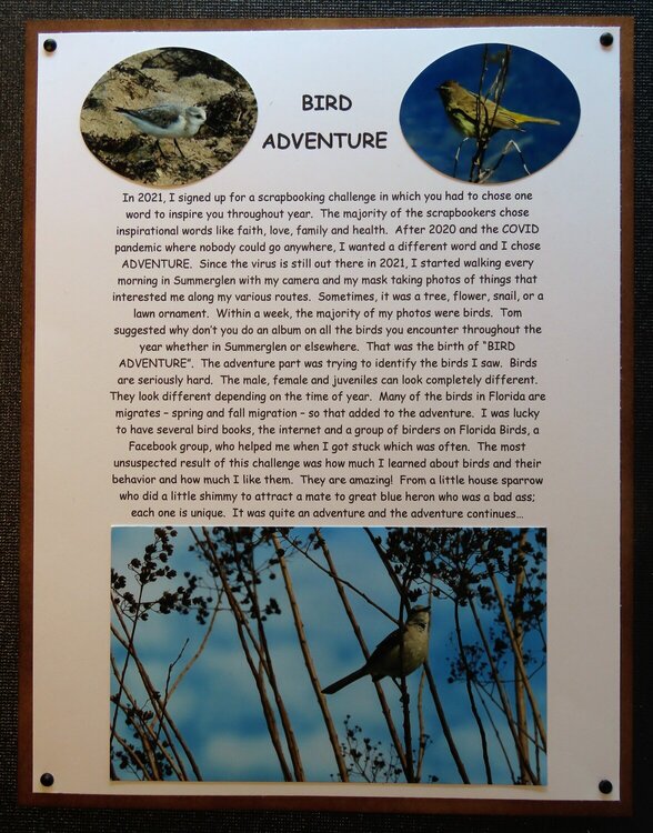 Information Page about the Album Bird Adventure