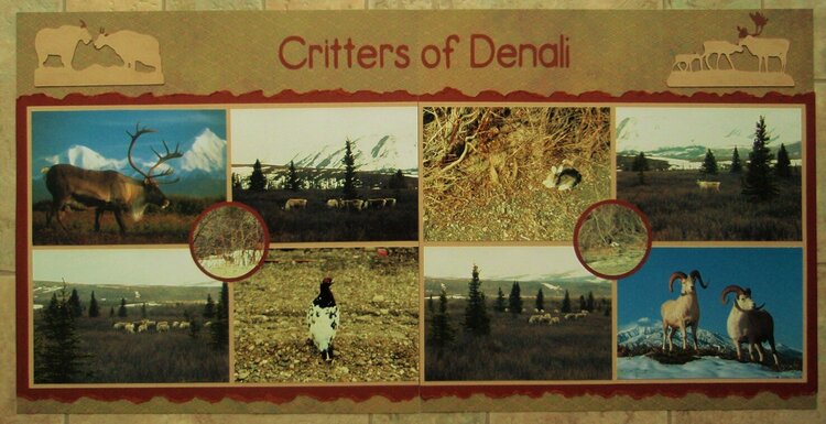 Critters of Denali