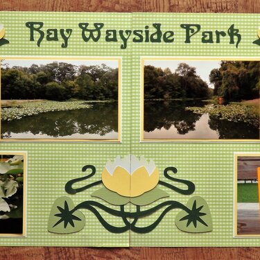 Ray Wayside Park, FL
