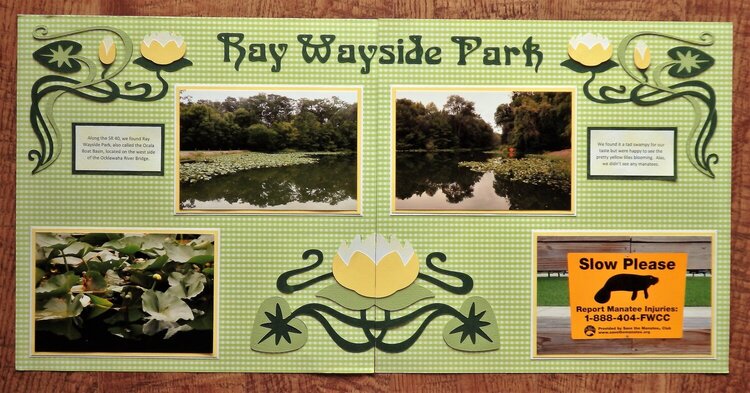 Ray Wayside Park, FL