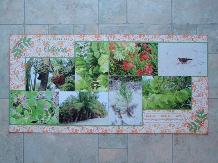 The Flora of Antigua