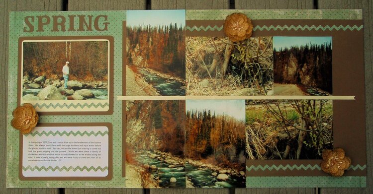 Spring in Alaska - 2000