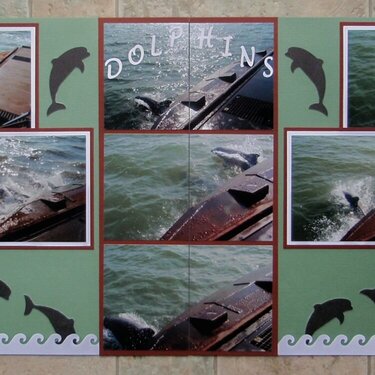 Dolphins of Galveston Bay, TX