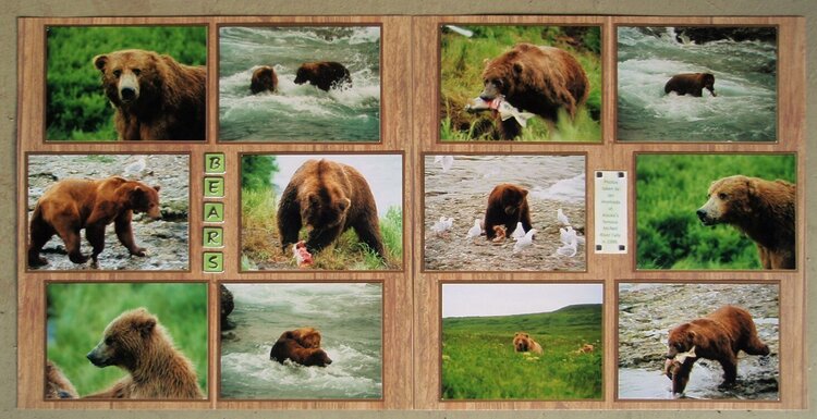 Bears at McNeil River Falls, Alaska