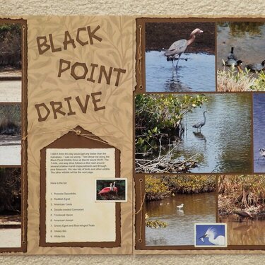 Black Point Drive at Merritt Island NWR, FL