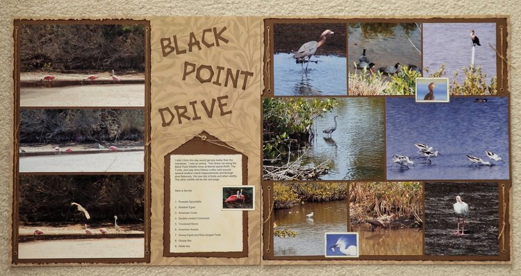 Black Point Drive at Merritt Island NWR, FL