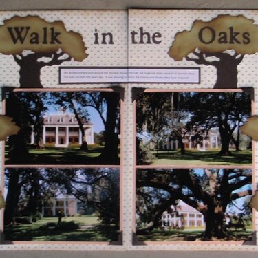 Walk in the Oaks, LA