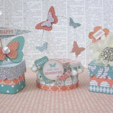 Butterfly Gift Boxes