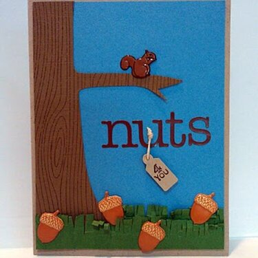nuts 4U