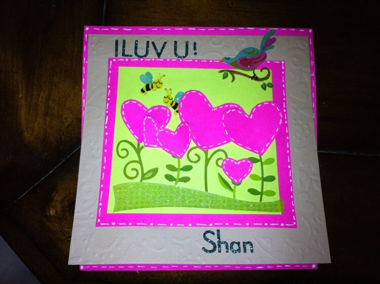 Shans  Valentine 12'