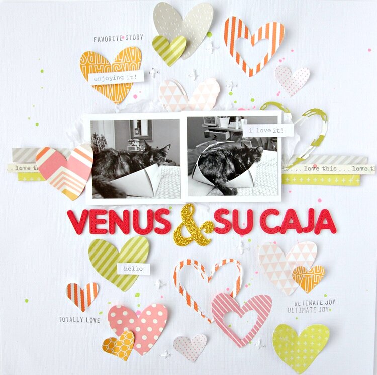 Venus &amp; su caja