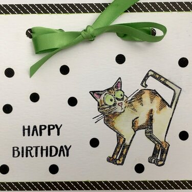Cat-Themed Birthday Card #3