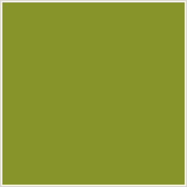August Monochrome Colour: Olive