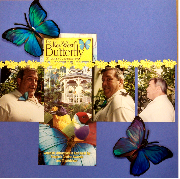 Kurt Butterfly