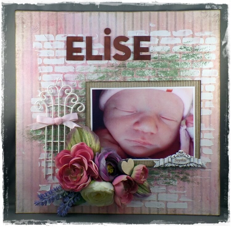elise-sophie  our 3d grand child