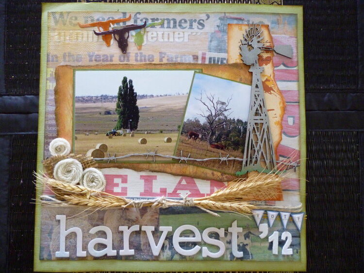 Australian Year of the Farmer 2012