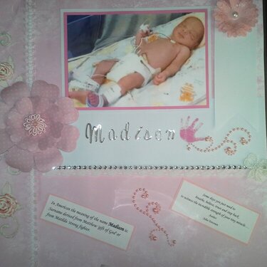 Baby Girl Layout