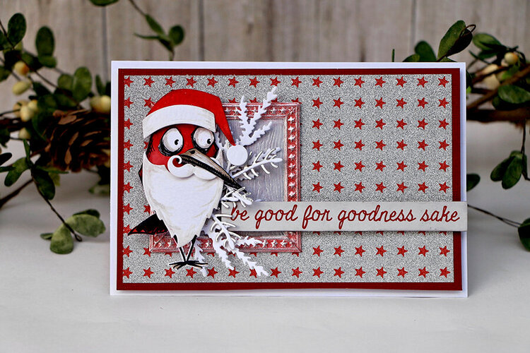 Crazy Santa Bird Card