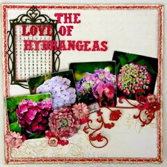 The Love of Hydrangeas
