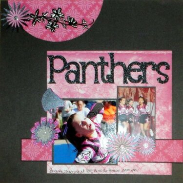 Panthers cheer