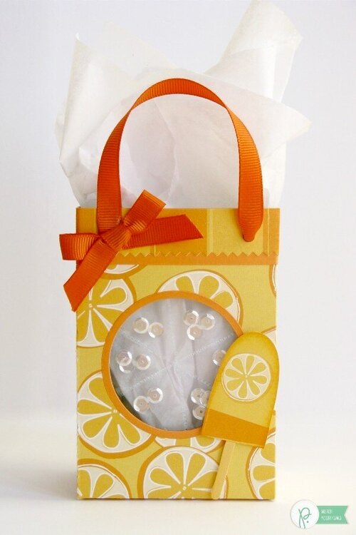 Pebbles Fun In The Sun Summer Gift Bags by Mendi Yoshikawa