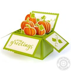 Sunny Studio Pretty Pumpkins Box Card by Mendi Yoshikawa