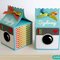 Instagram Inspired Birthday Treat boxes by Mendi Yoshikawa