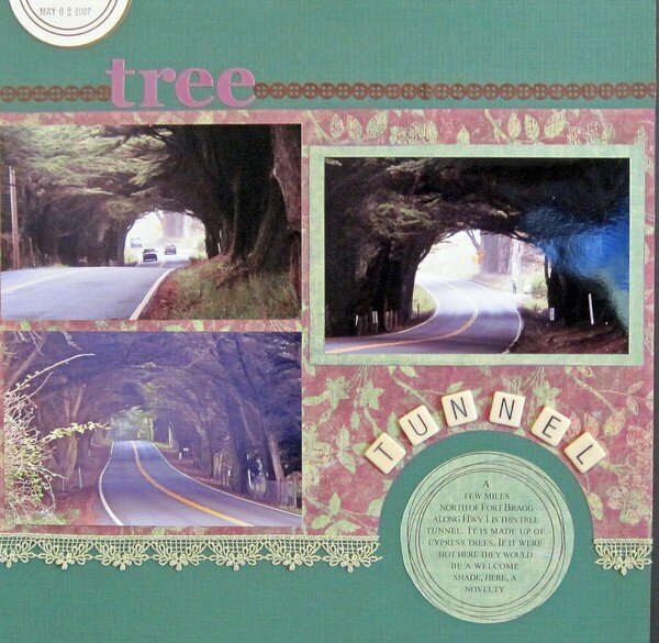 Tree Tunnel