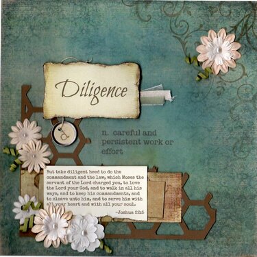 Diligence