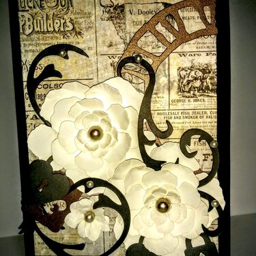 Beautiful Times, 2015