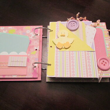 Baby Girl Mini Album