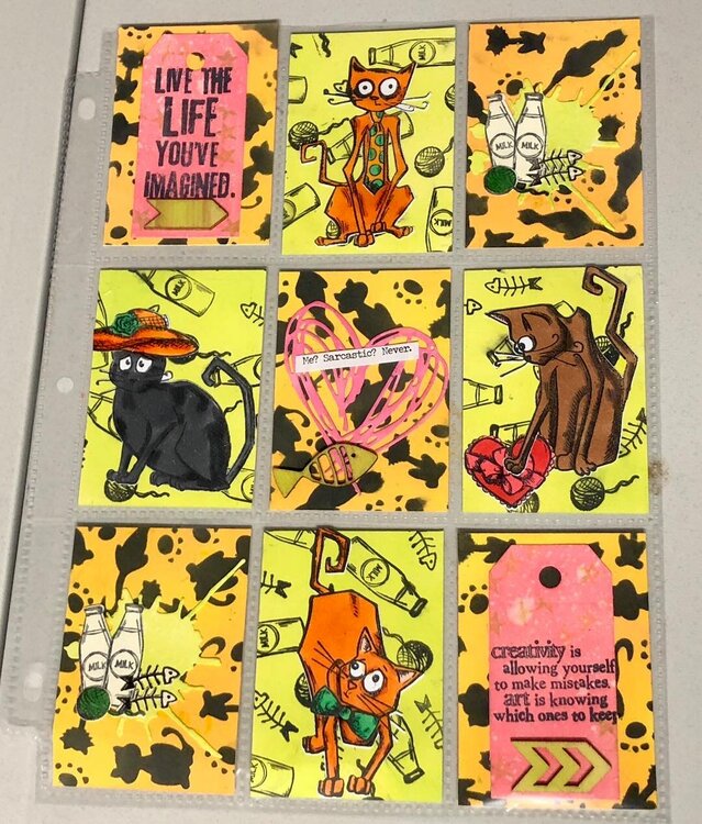 Crazy Cats Pocket Page