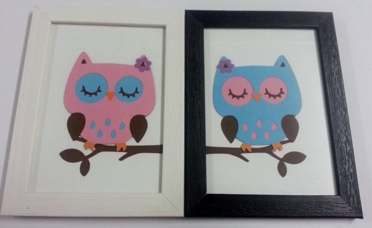 Owl Frames
