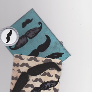 Mustache Library Card and Pocket