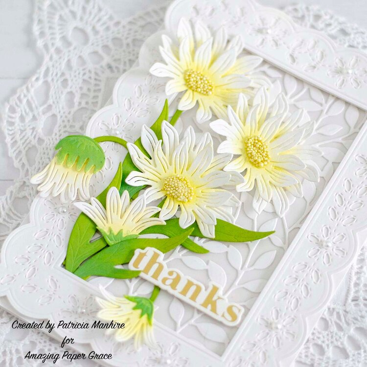 Saying Thaks with Amazing Paper Grace Daisies