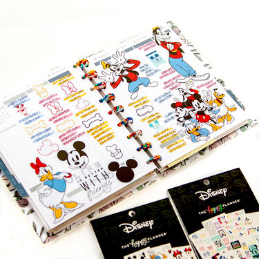 Disney The Happy Planner Memory Planner Layout