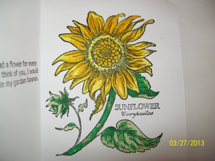 Sunflower, my favorite ever! This is inside of this card