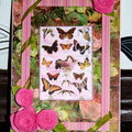 A window to the Secret Garden