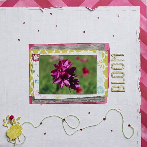 Bloom *Frosted Designs*