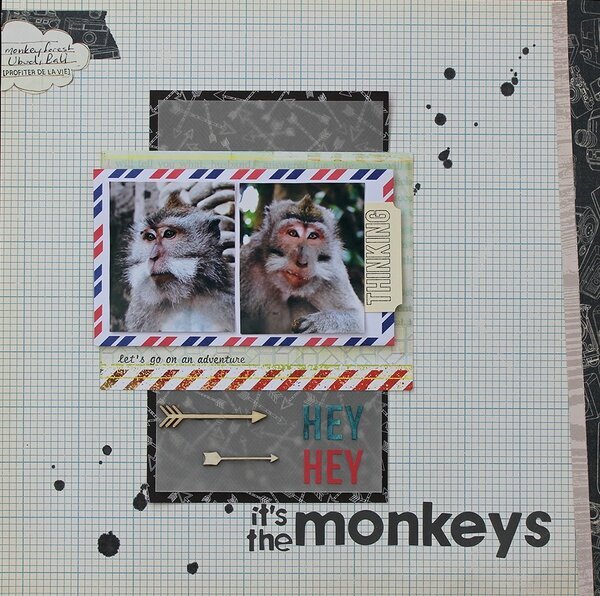 Hey Hey It&#039;s The Monkeys