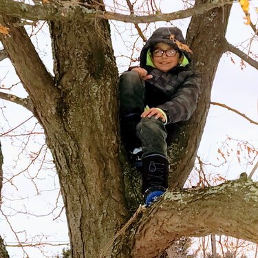 Tree climber