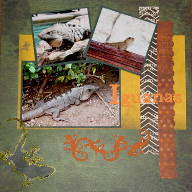 Iguanas everywhere page 1