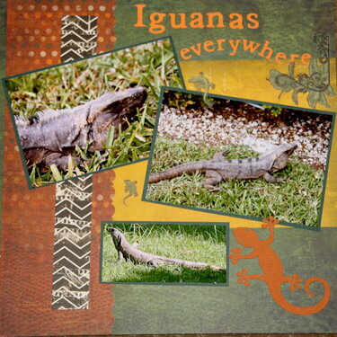 Iguanas everywhere page 2